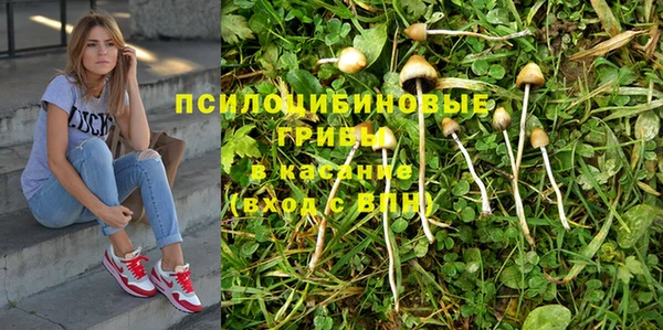 герыч Осинники