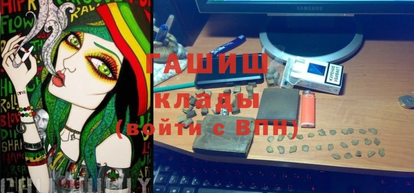 ПСИЛОЦИБИНОВЫЕ ГРИБЫ Новозыбков