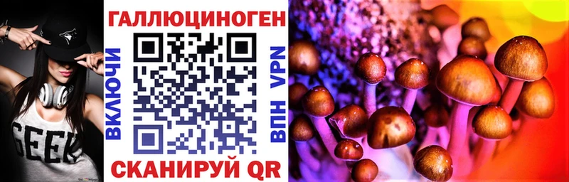 Купить  Кондрово  Псилоцибиновые грибы ЛСД 
